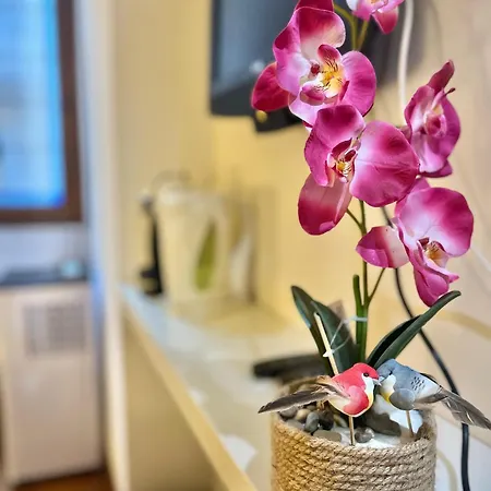 Appartement San Pietro Charme Rome